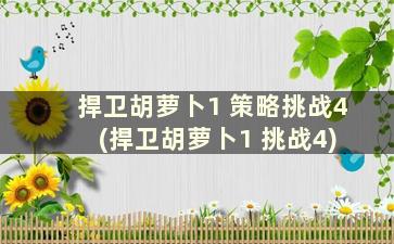 捍卫胡萝卜1 策略挑战4 (捍卫胡萝卜1 挑战4)